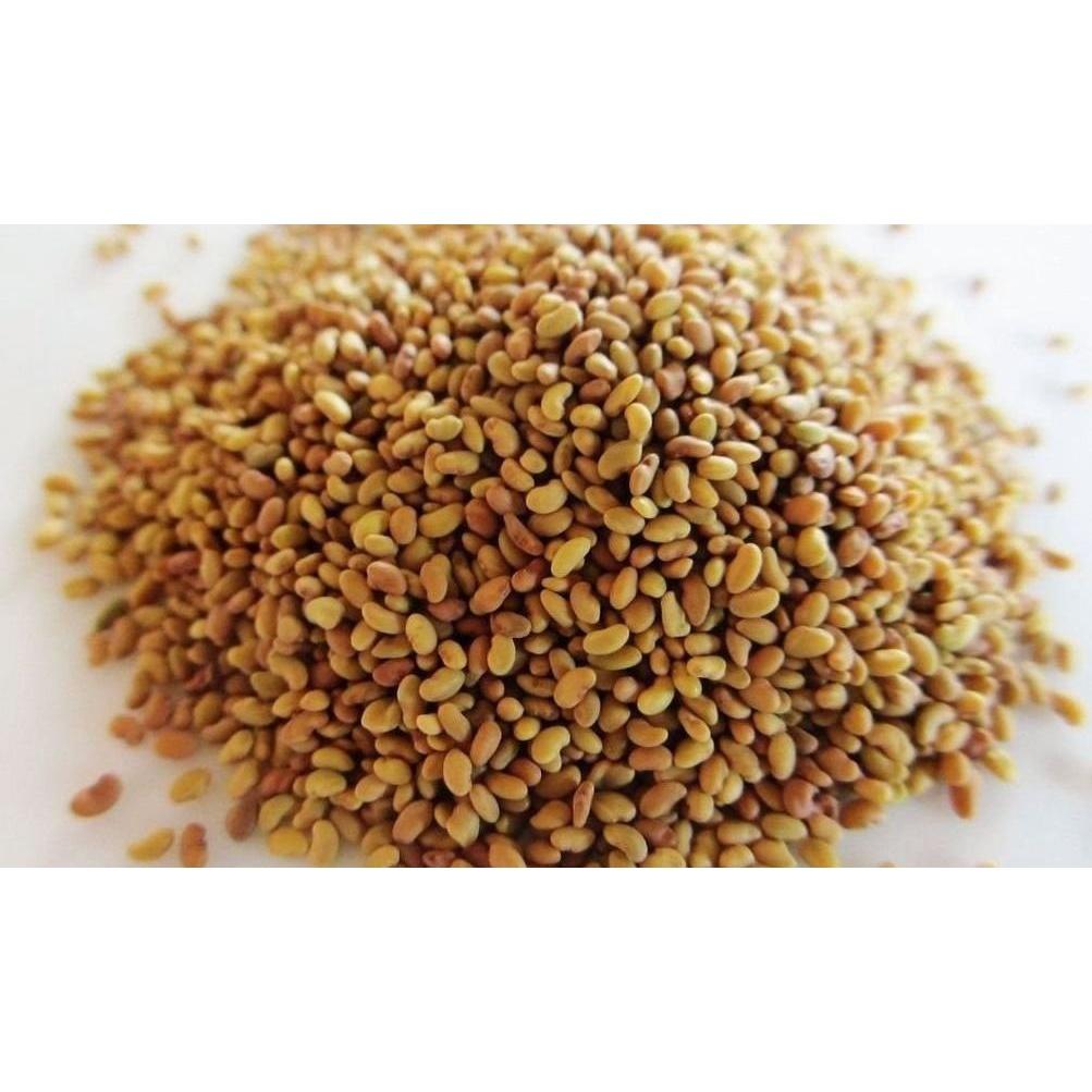 Gói 200g Hạt giống cỏ linh lăng Alfalfa - cỏ ba lá họ đậu giàu dinh dưỡng cho chăn thỏ, dê, cừu