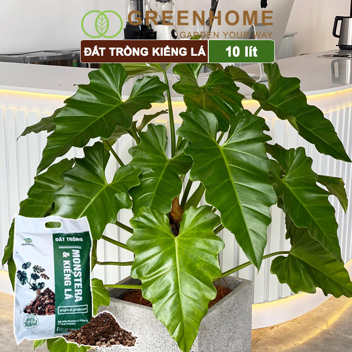 Đất trồng Monstera, kiểng lá, bao 10 lít , giá thể trộn sẵn, đầy đủ chất Tropical Premium |Greenhome