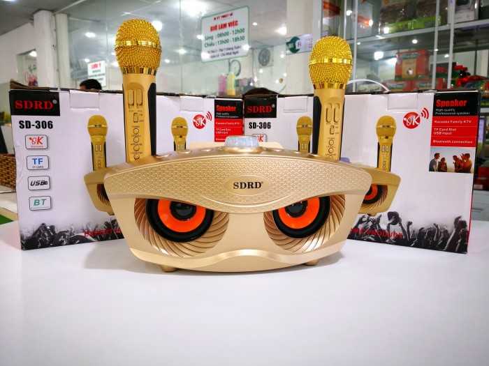 Mic Hát Karaoke 2 Loa Bluetooth SD-306 - Hàng Nhập Khẩu