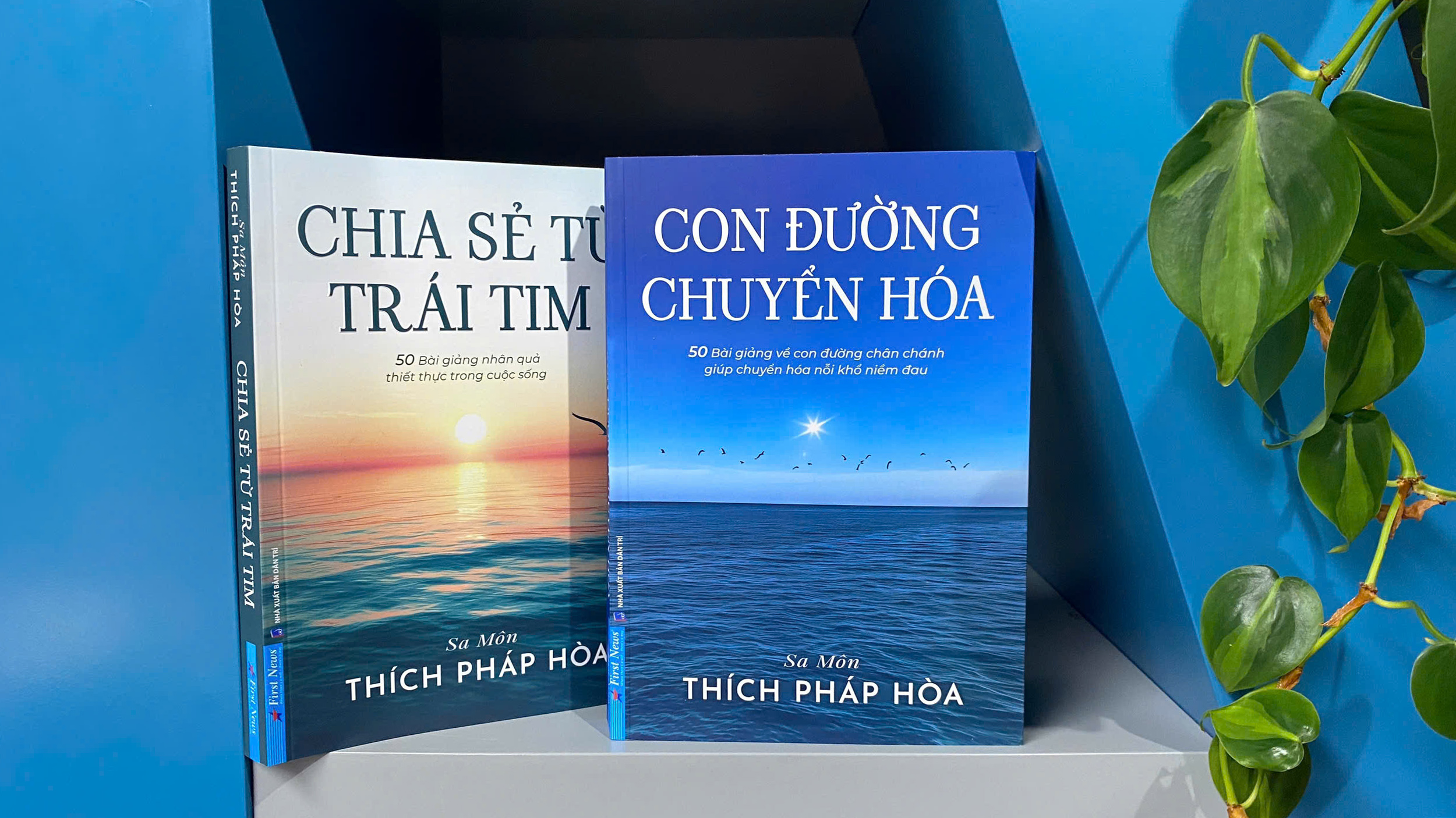 Con Đường Chuyển Hóa - 50 Bài giảng về con đường chân chánh - Thầy Thích Pháp Hòa