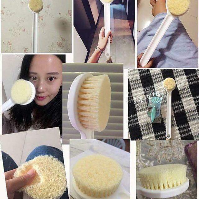 Cọ lưng