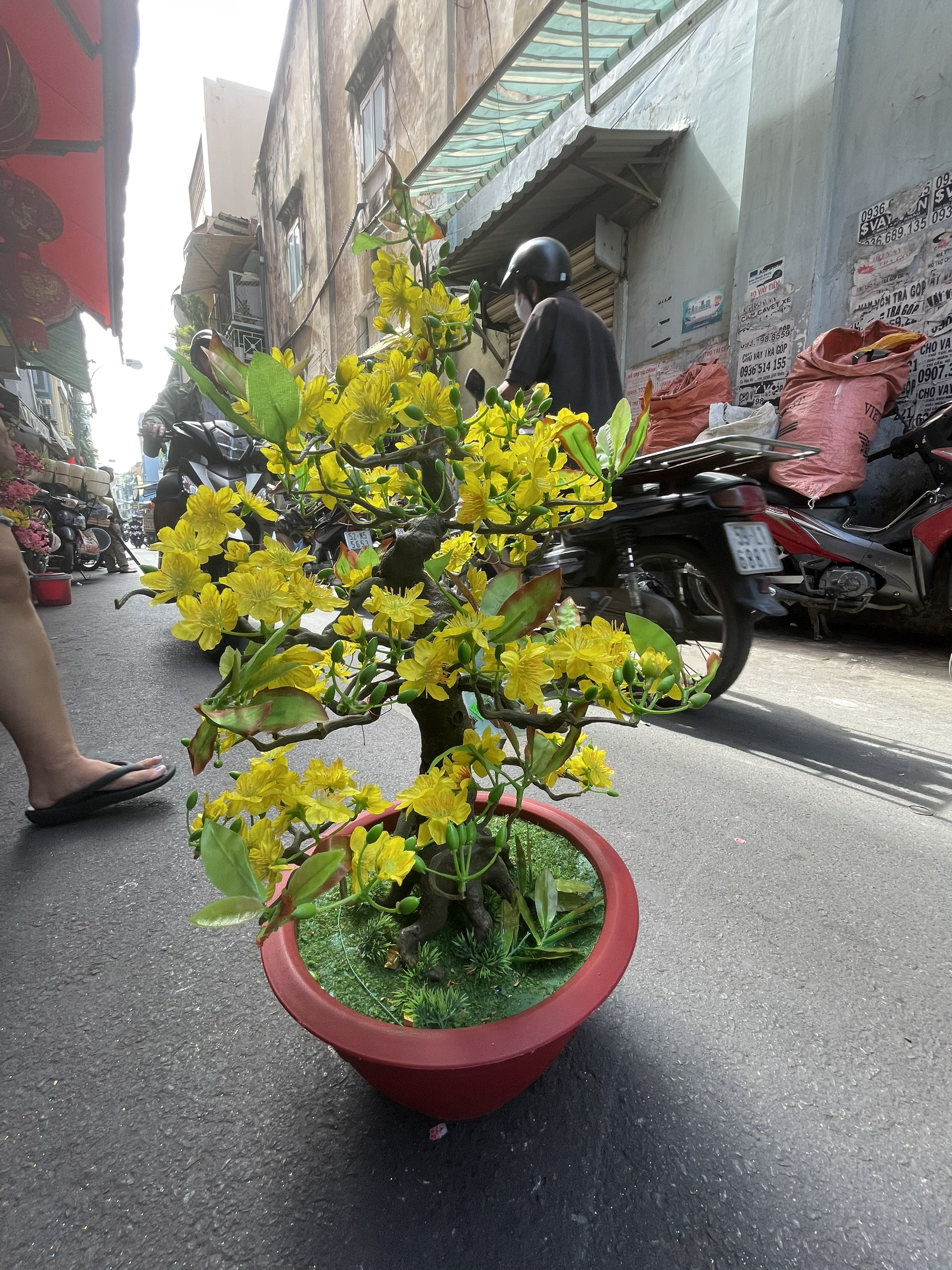 Cây Hoa Mai Bonsai Nhựa Cao 80 cm Hoa Mai Giả Trang Trí Tết