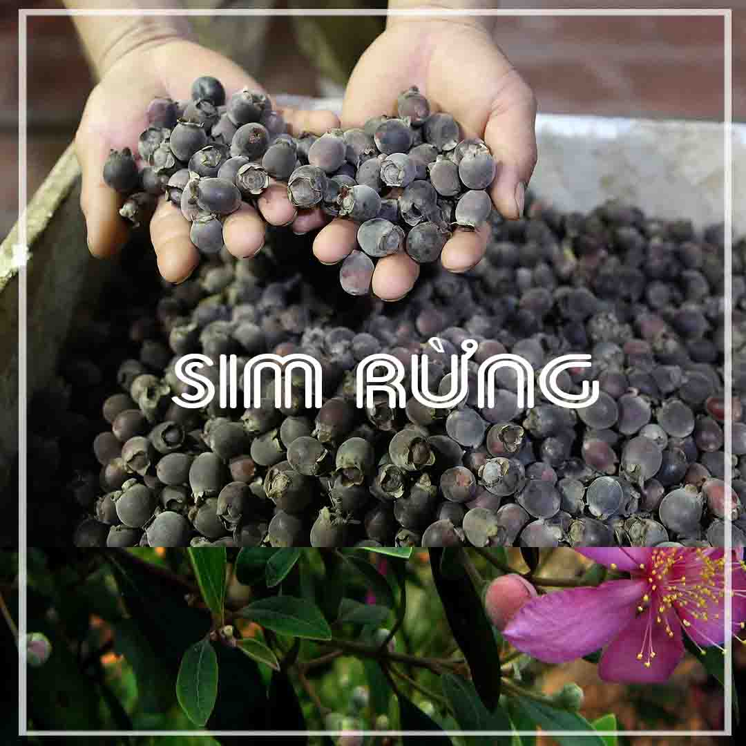 Quả Sim Rừng khô 1kg