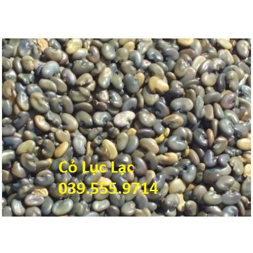 Hạt Cỏ Lục Lạc - Cỏ Chăn Nuôi Dinh Dưỡng Cao 300g