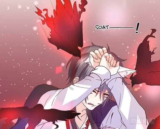 hồ tiên hung bạo chapter 54 57