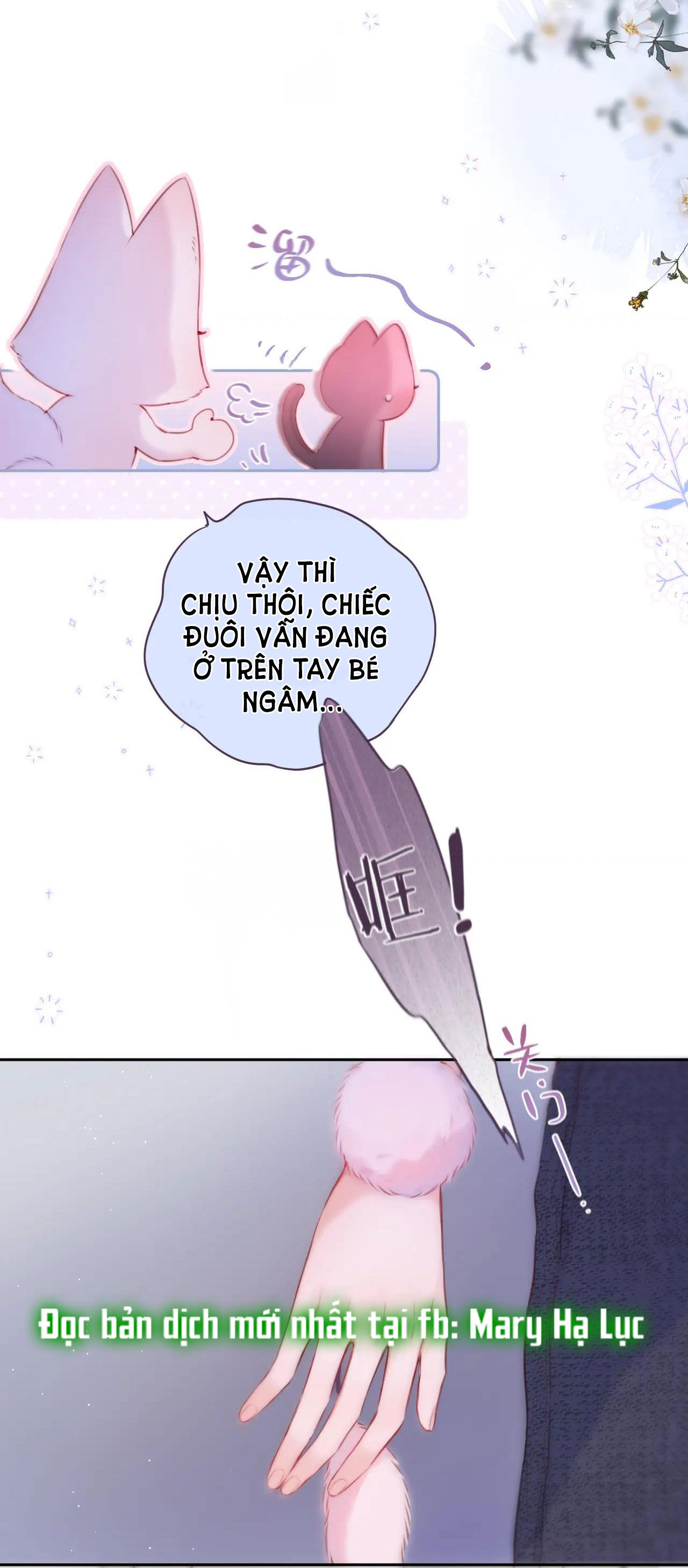 cạm bẫy của hồ ly chapter 37.1 11