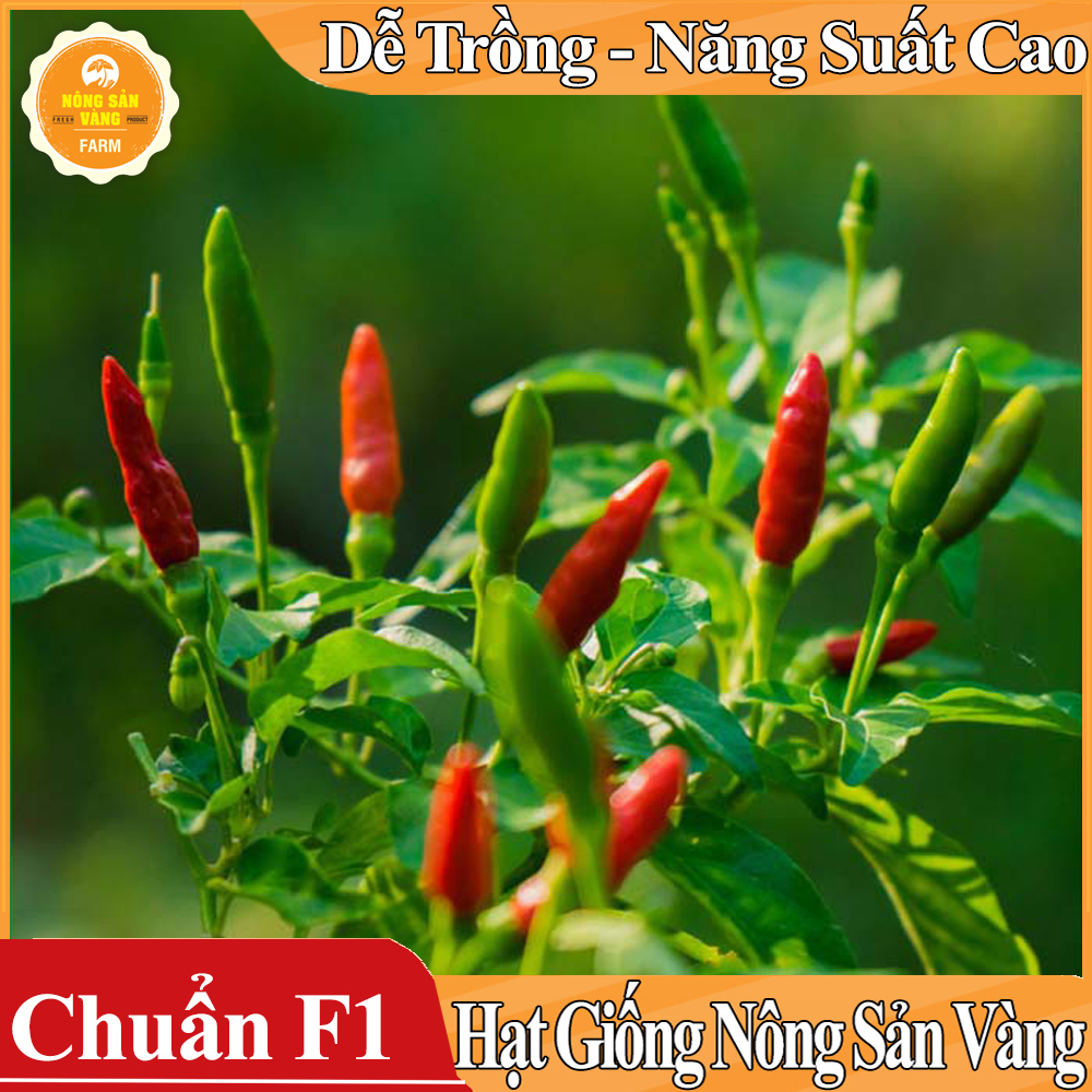 Hạt giống Ớt Xiêm ( Gói 30 Hạt ) - Nông Sản Vàng