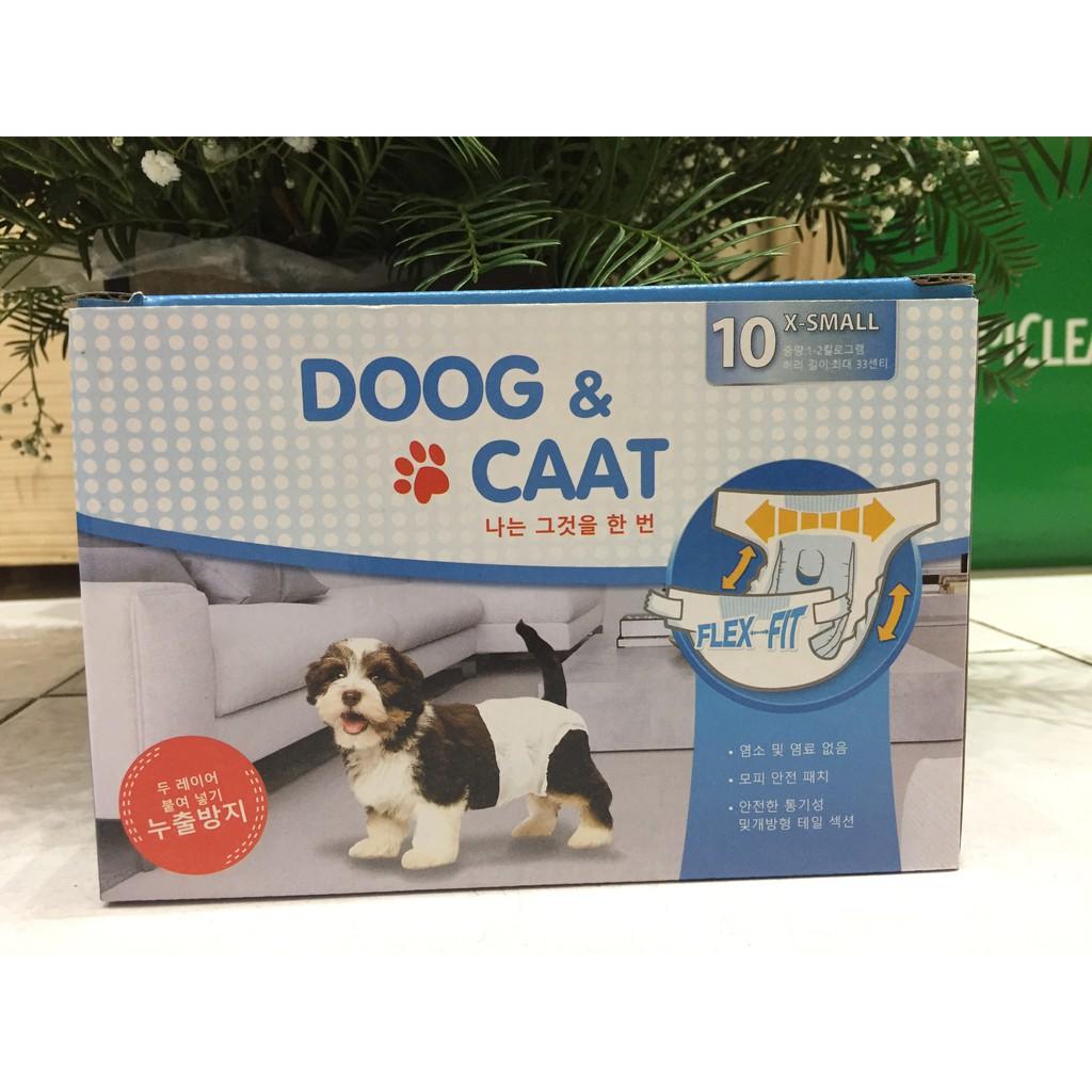 Tả quần chó cái 1 hộp/ 10 cái
