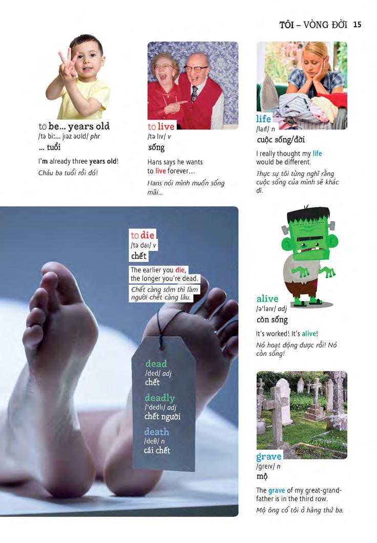 Sách Học Tự Vựng Tiếng Anh Qua Hình Và Ví Dụ Minh Họa