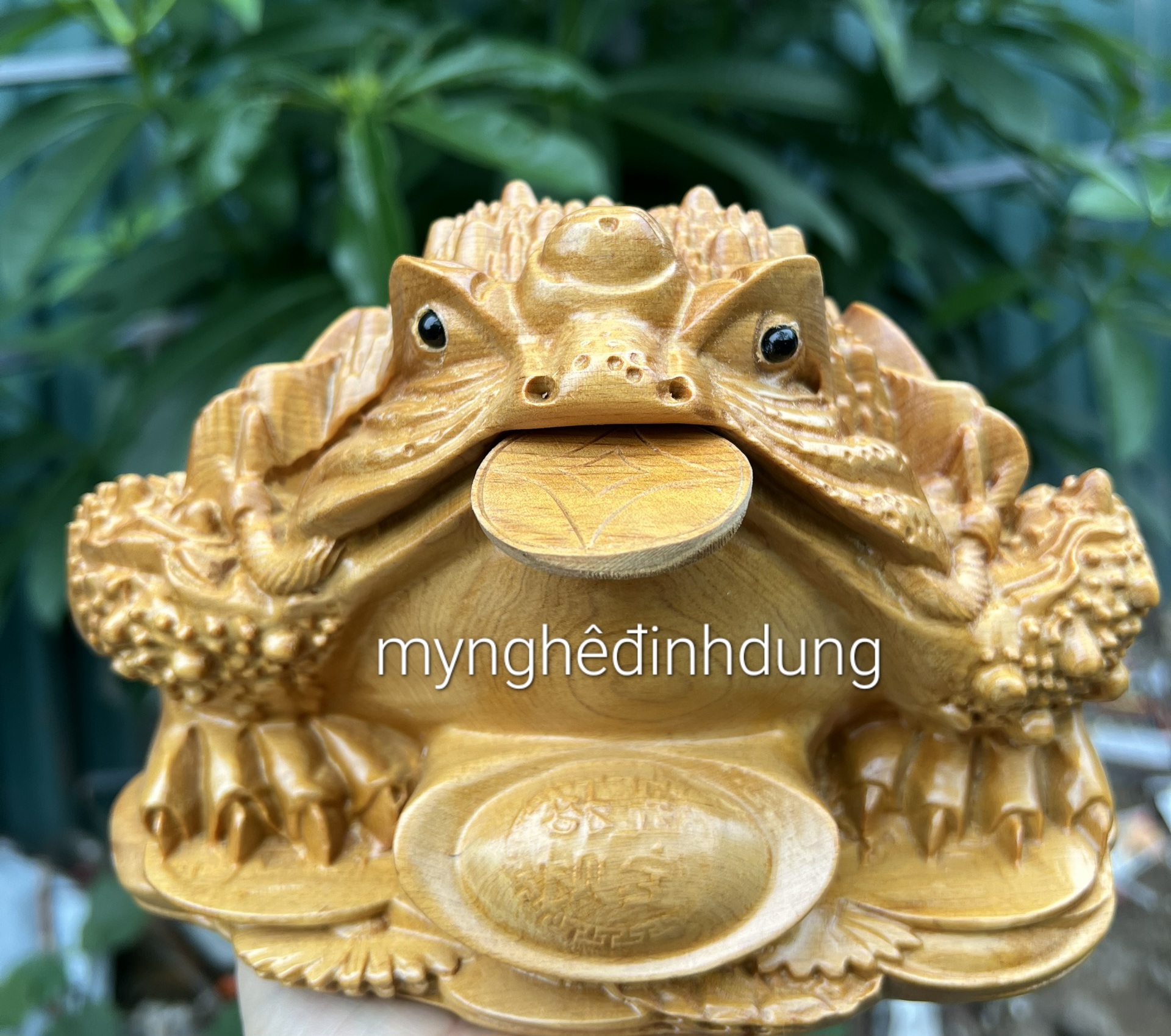 Thiềm thừ phong thủy cầu tài lộc bằng gỗ bách xanh thơm nức kt 20×12×13cm