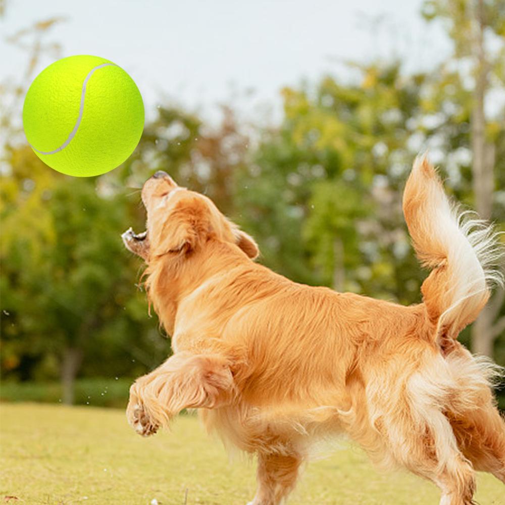 9.5‘’ Tennis Balls Inflatable Tennis Ball with Pump Dog Toy Balls For Signature Children Adult Pets Dogs Cats Fun