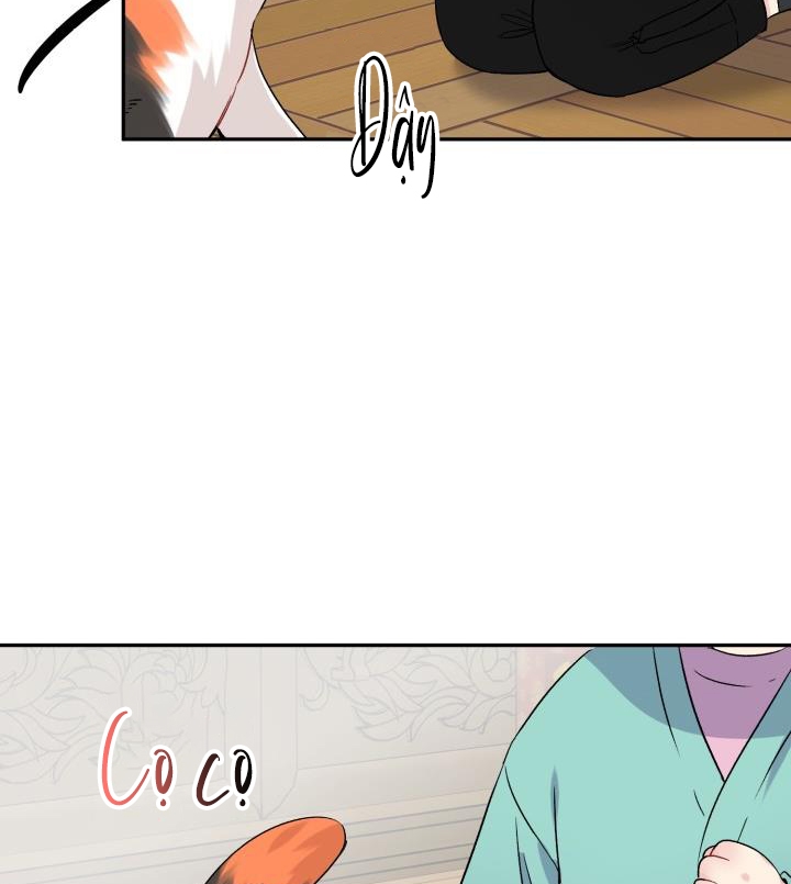 xác suất tình yêu chapter 50 12