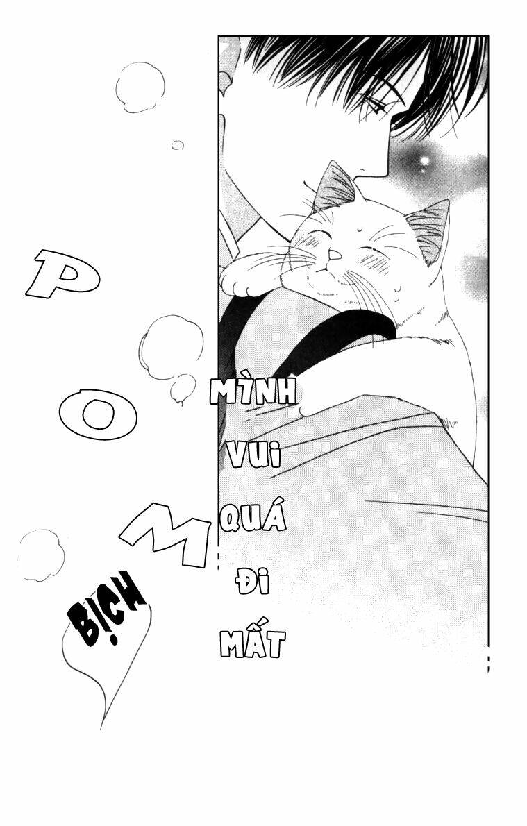 neko neko honey chapter 4 21