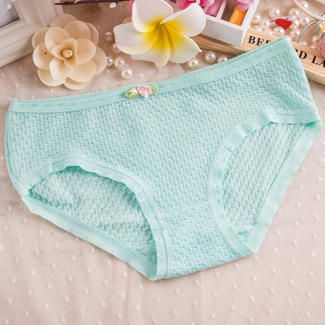 Combo 5 quần lót nữ Cotton QL 8108-1