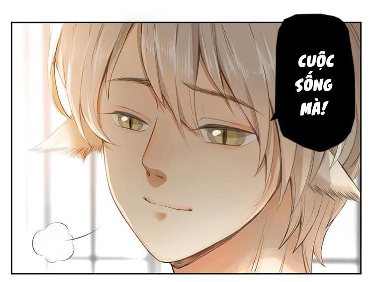 cứu mạng ! loài mèo thống trị thế giới rồi ! chapter 27 19