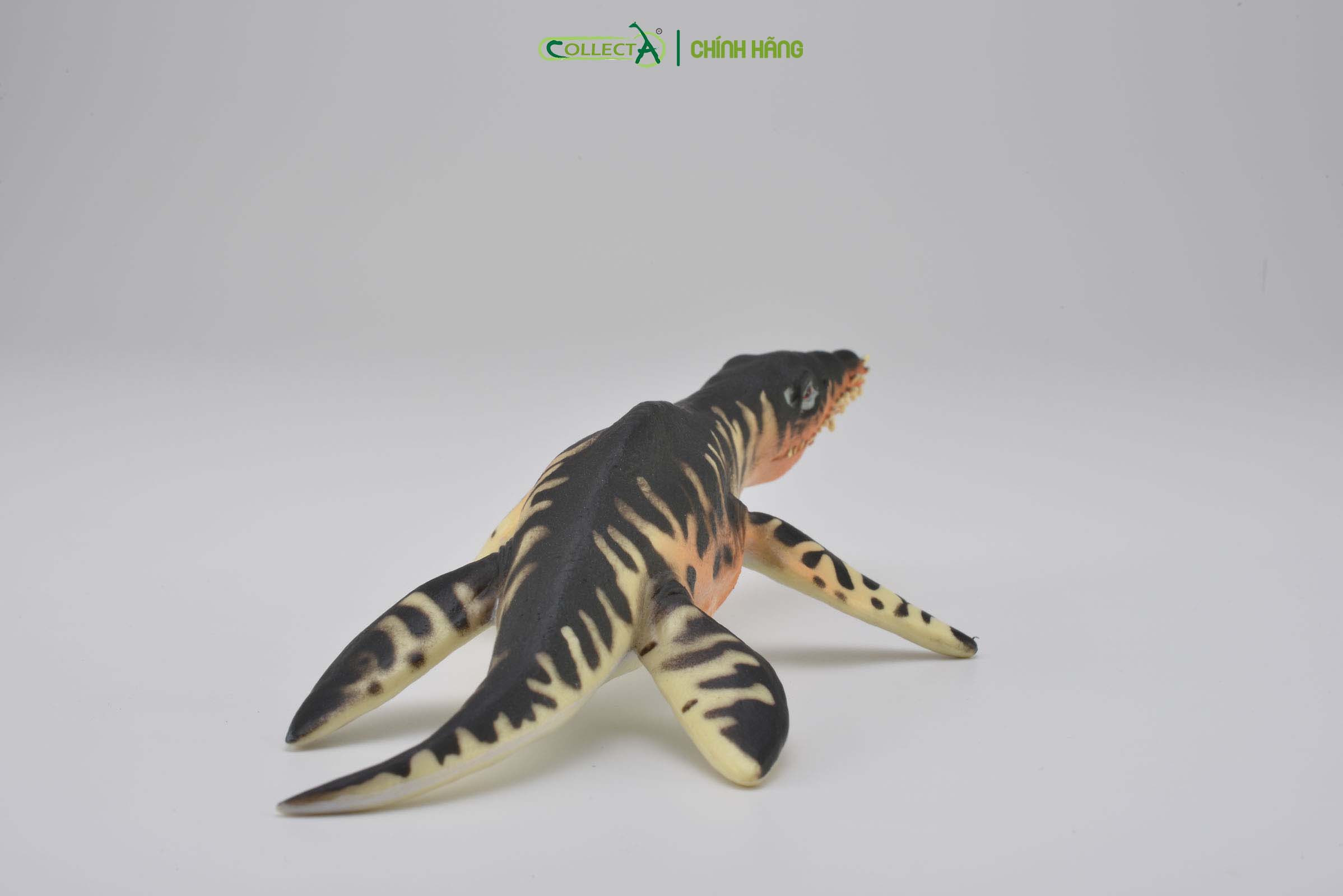 Mô hình thu nhỏ: Khủng Long Liopleurodon  - Liopleurodon, hiệu: CollectA, mã HS 9654170[88237] -  Chất liệu an toàn cho trẻ - Hàng chính hãng