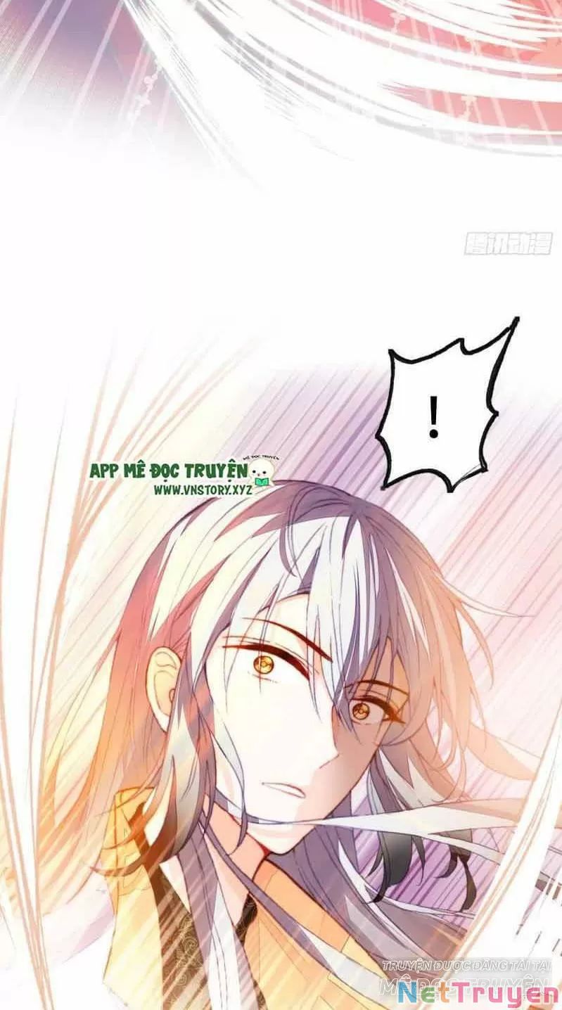 lại bị bệnh chiều chuộng quấn lấy chapter 2 31