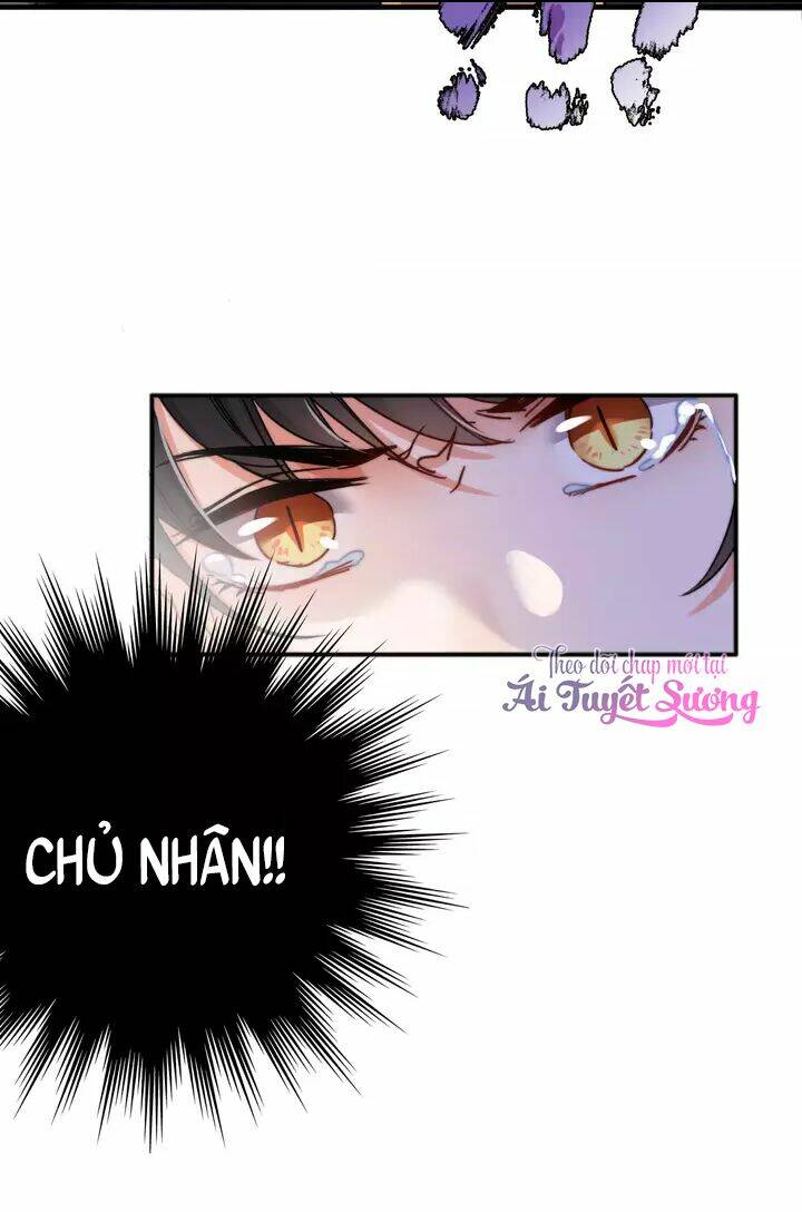 thập quang mật ngữ chapter 11 7