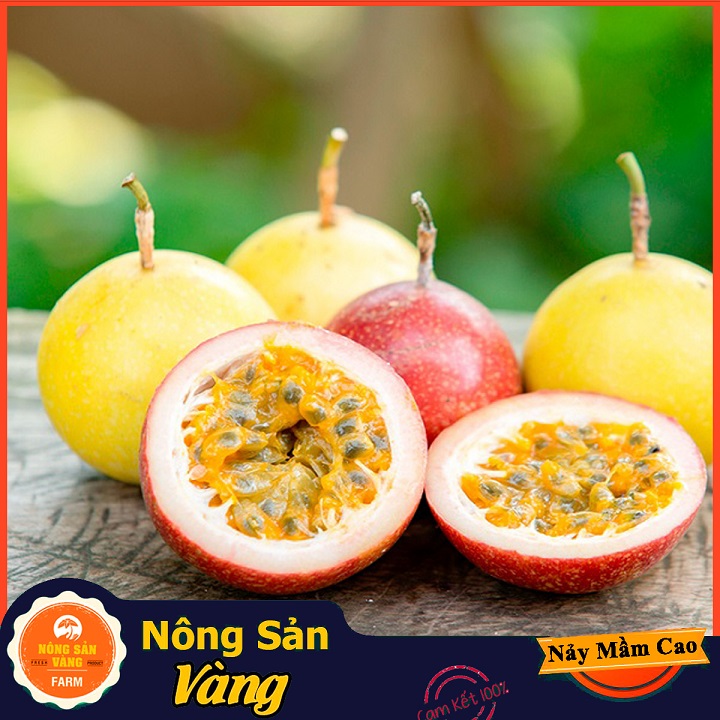 Hạt giống Chanh Dây ( Gói 50 Hạt ) - Nông Sản Vàng