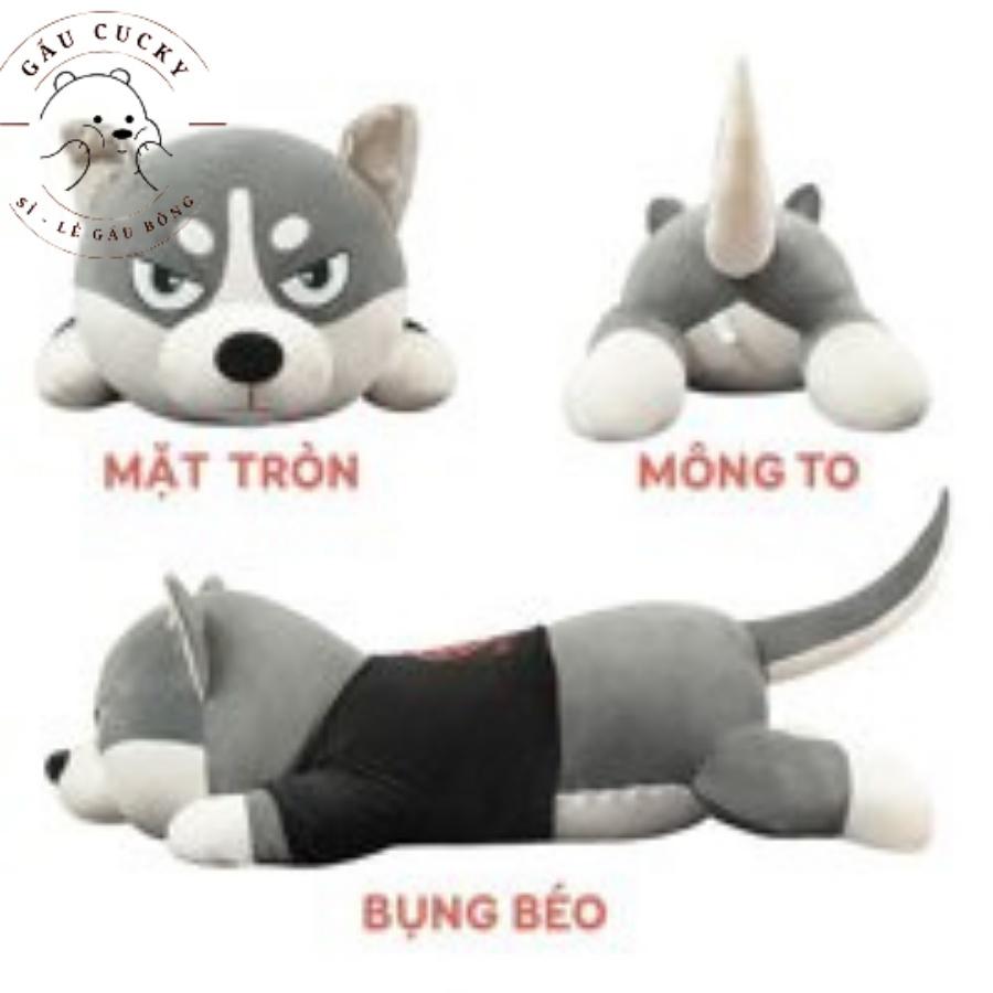 Gấu bông Chó husky, chó ngáo size 1M4 Siêu to khổng lồ.