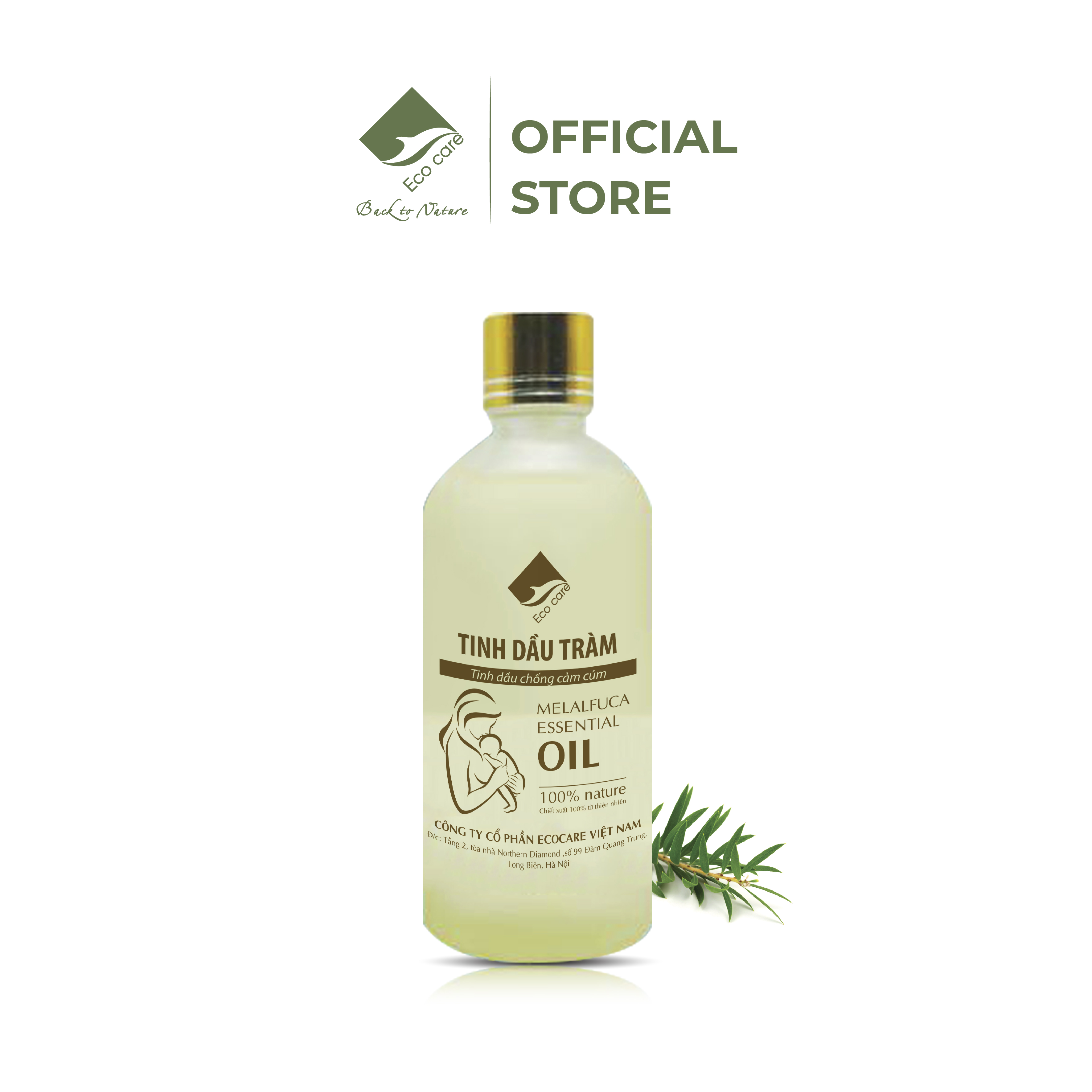 Tinh Dầu Tràm Gió Chống Cảm Cúm, Kháng Khuẩn Thương Hiệu Ecocare Chai 100Ml
