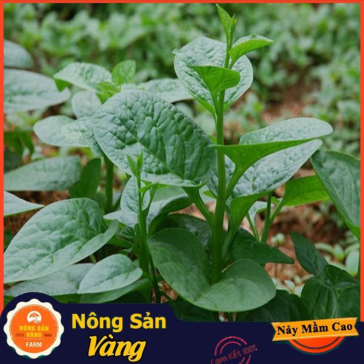 Hạt giống Mồng Tơi Xanh ( Gói 10 Gram )