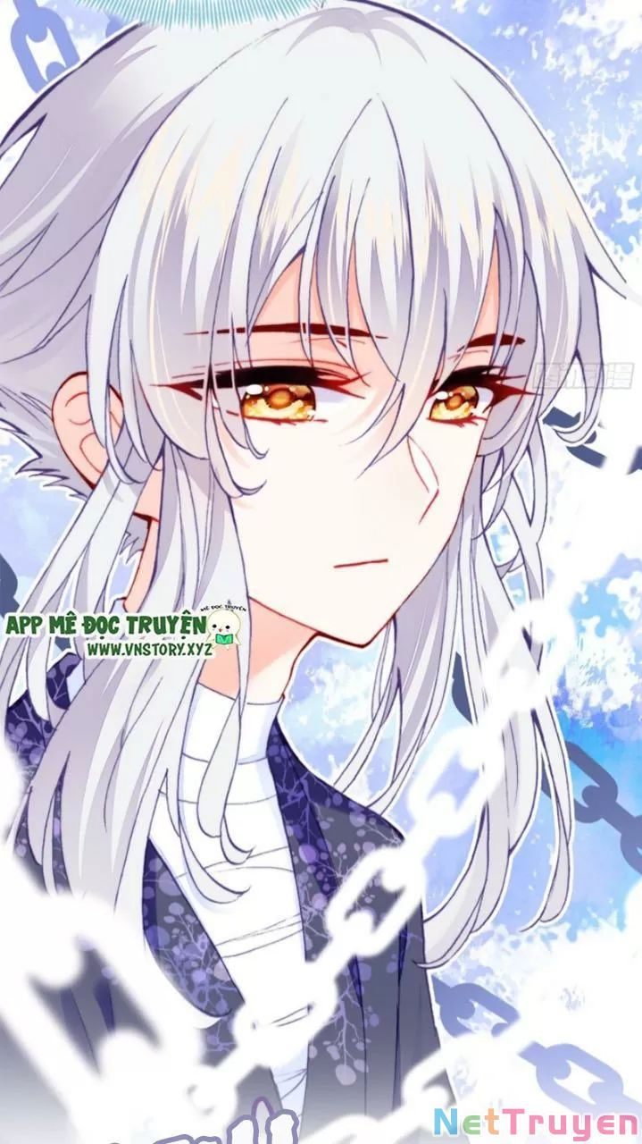 lại bị bệnh chiều chuộng quấn lấy chapter 19 47