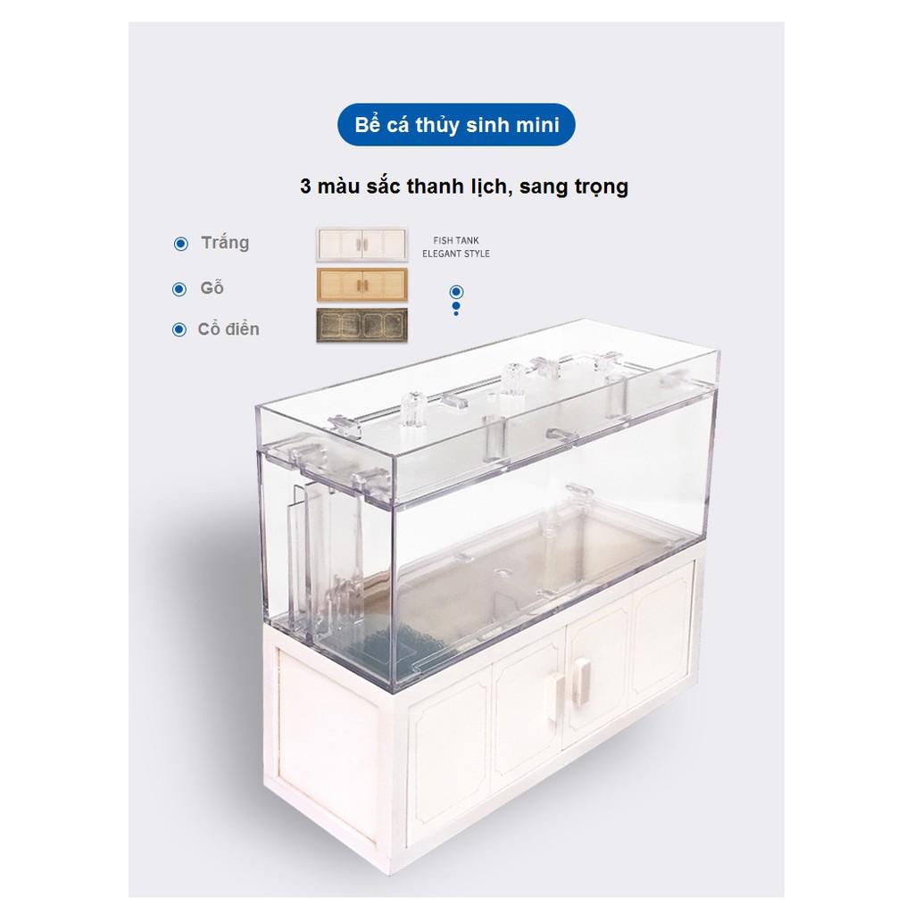 Bể cá mini thủy sinh trang trí bàn làm việc