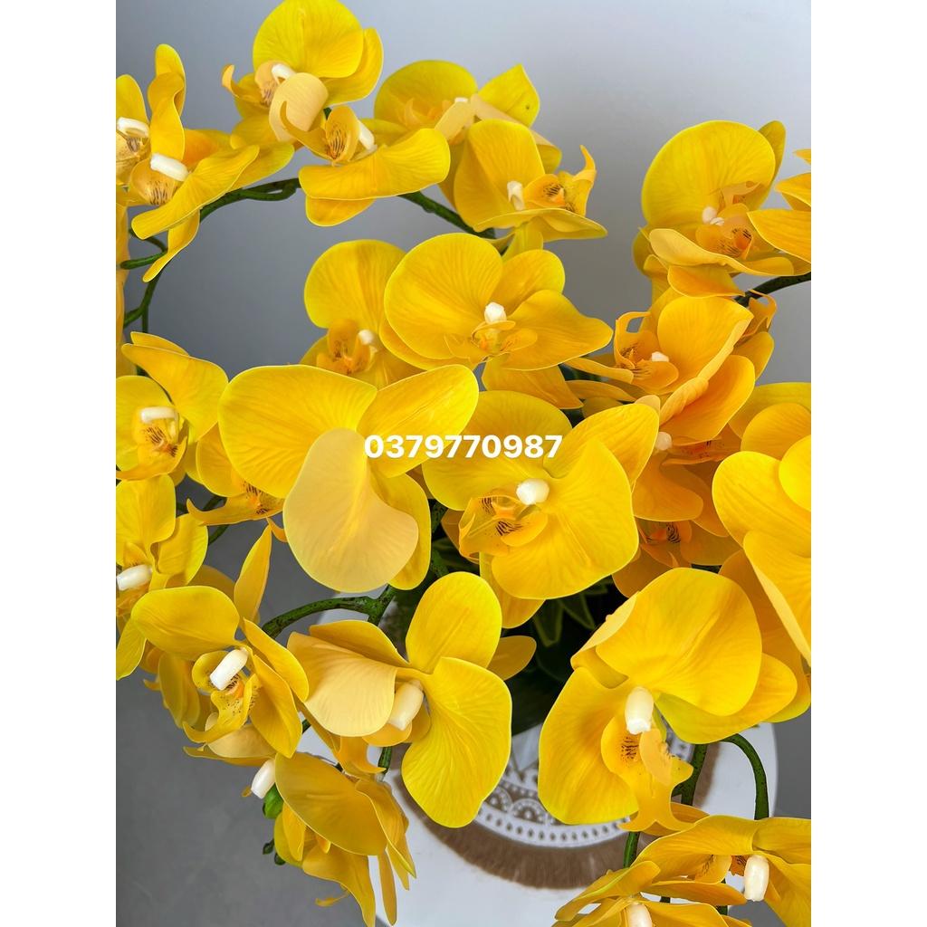 Bình lan hồ điệp vàng-hoa giả hoa lụa cao cấp-góc decor nhà xinh