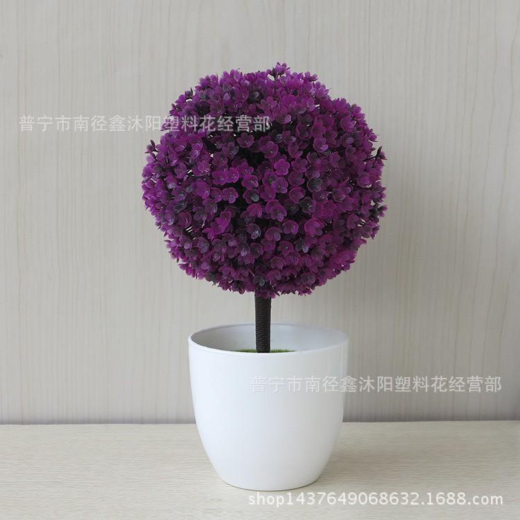 Chậu hoa cẩm tú cầu để bàn, để trang trí kệ treo tường .