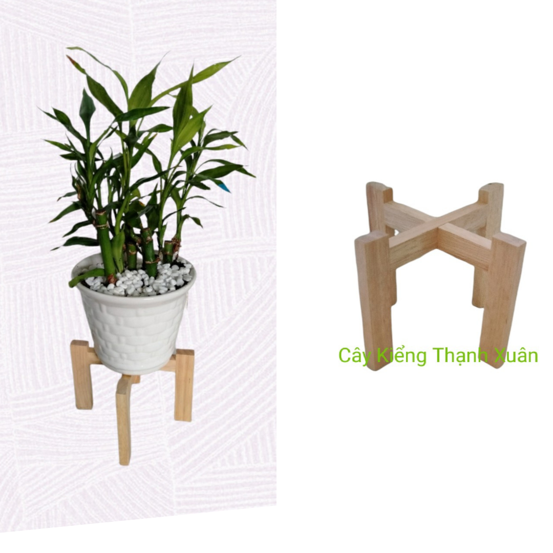 Đôn Gỗ MINI Để Chậu Cây, Kích thước Cao 11x Rộng 11cm, Lọt Lòng chậu 10cm