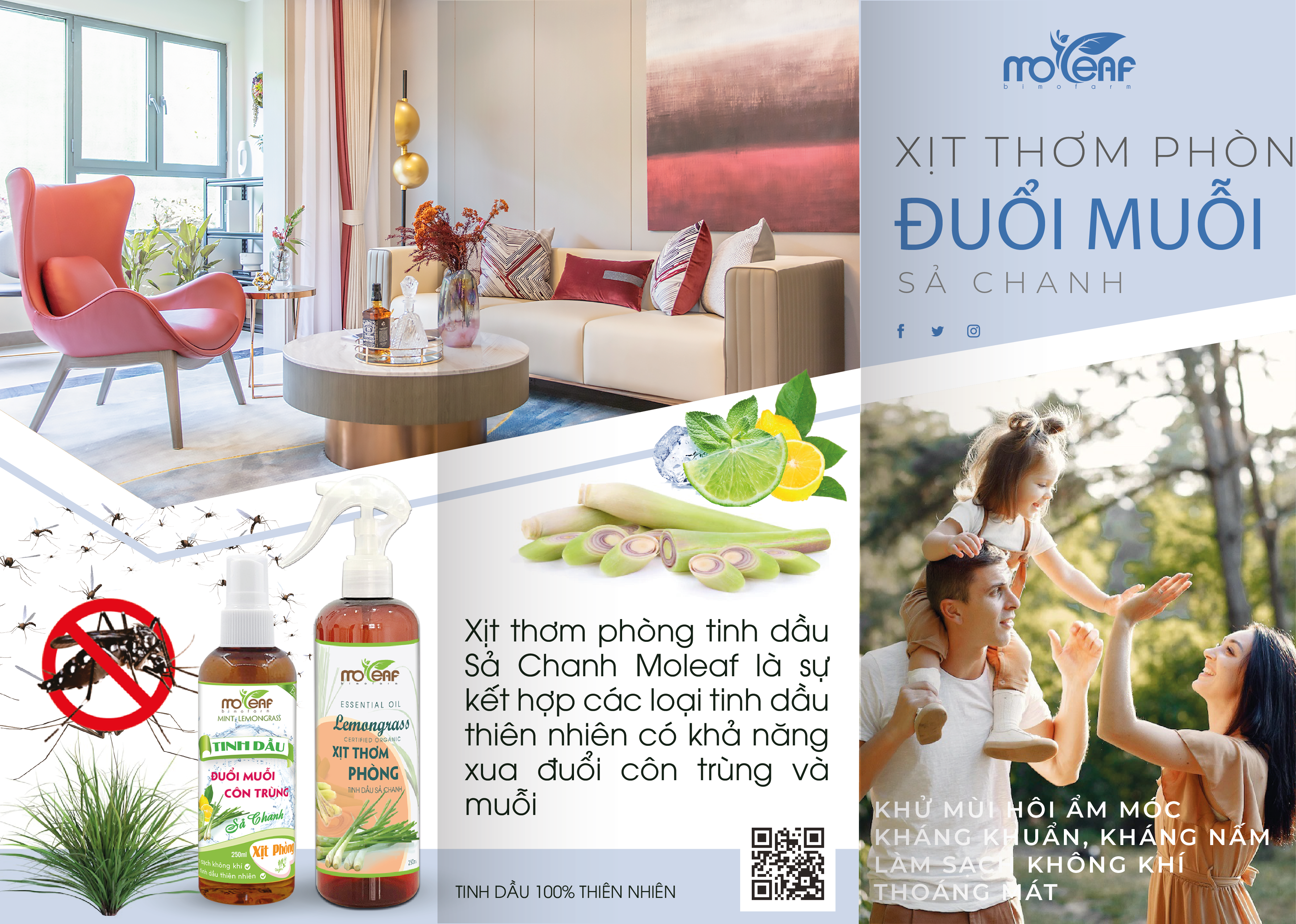 Xịt Thơm Phòng Moleaf Tinh Dầu Sả Chanh Thơm Mát Lọc Không Khí Đuổi Muỗi & Côn trùng 250ml