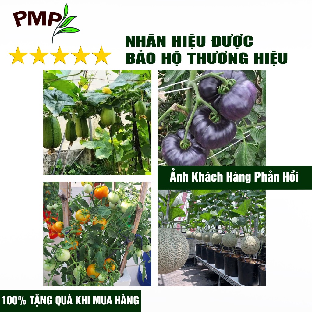 Phân đạm cá hữu cơ Hyfish PMP cho rau sạch, hoa, cây cảnh, cây ăn trái (01 lít)