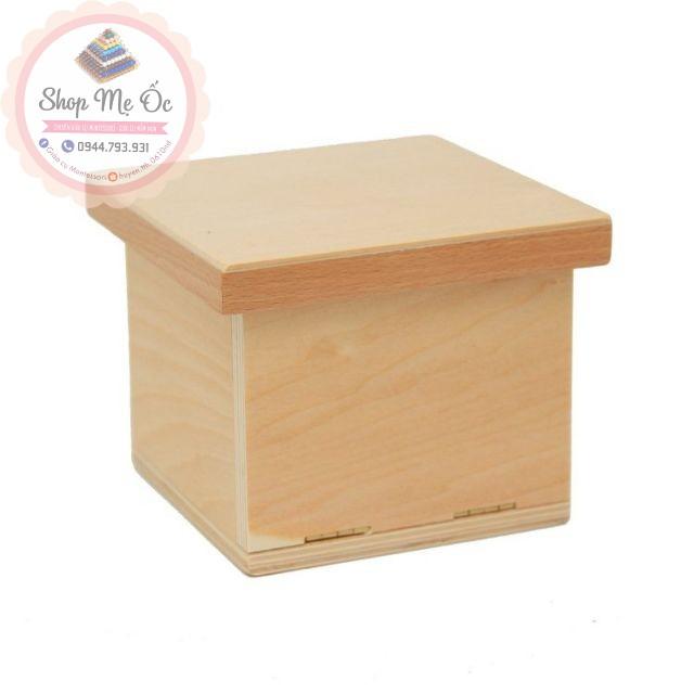 Giáo cụ Montessori - Bộ 1000 khối lập phương có kích thước 1x1x1cm