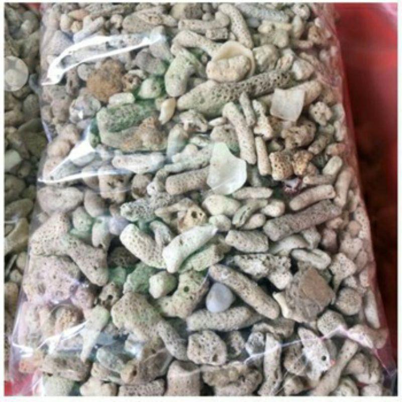 San hô vụn lọc nước bể cá cảnh,bể hải sản-Vật liệu lọc tuyệt vời cải tạo nước tốt, tăng PH cho hồ cá, bể cá