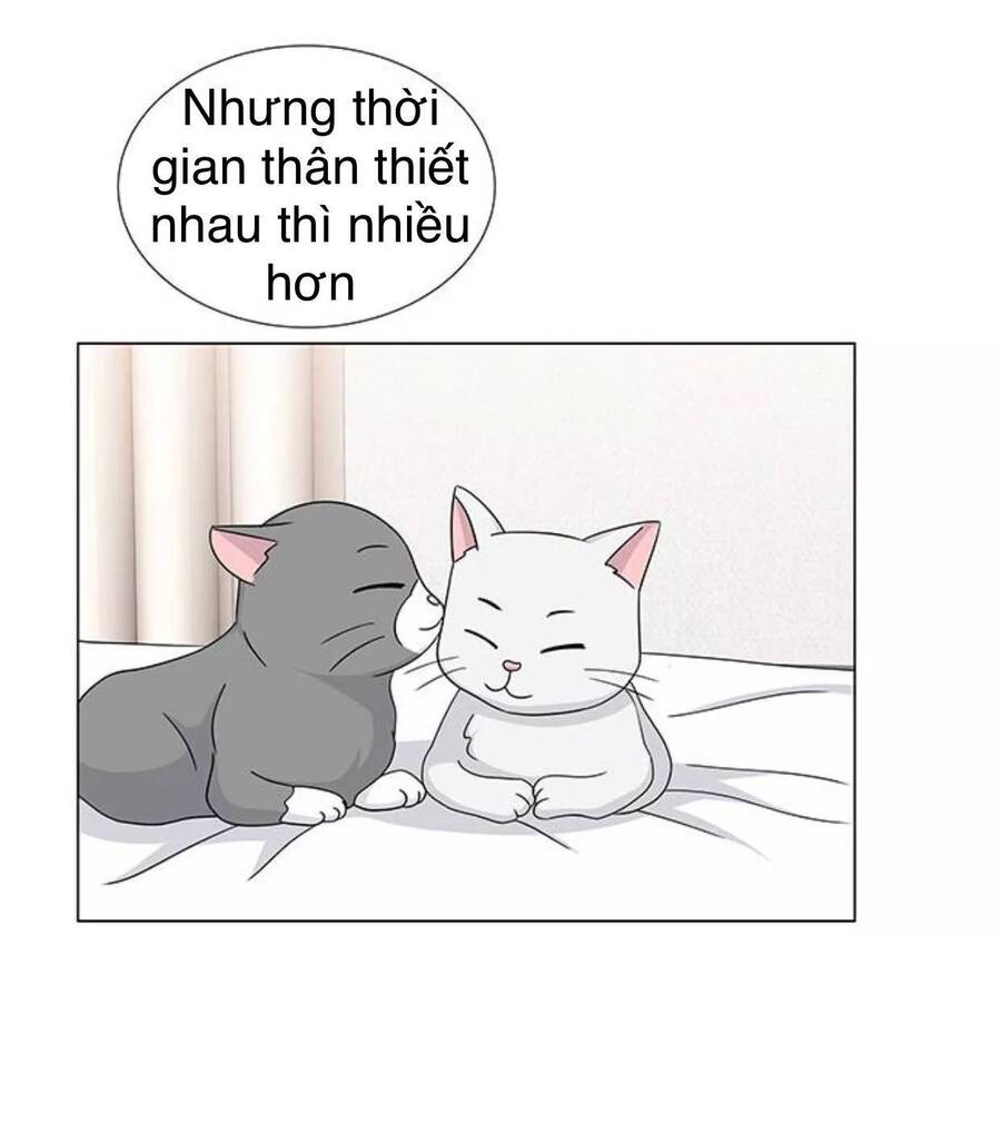 idol và sếp, em yêu ai? chapter 117 26