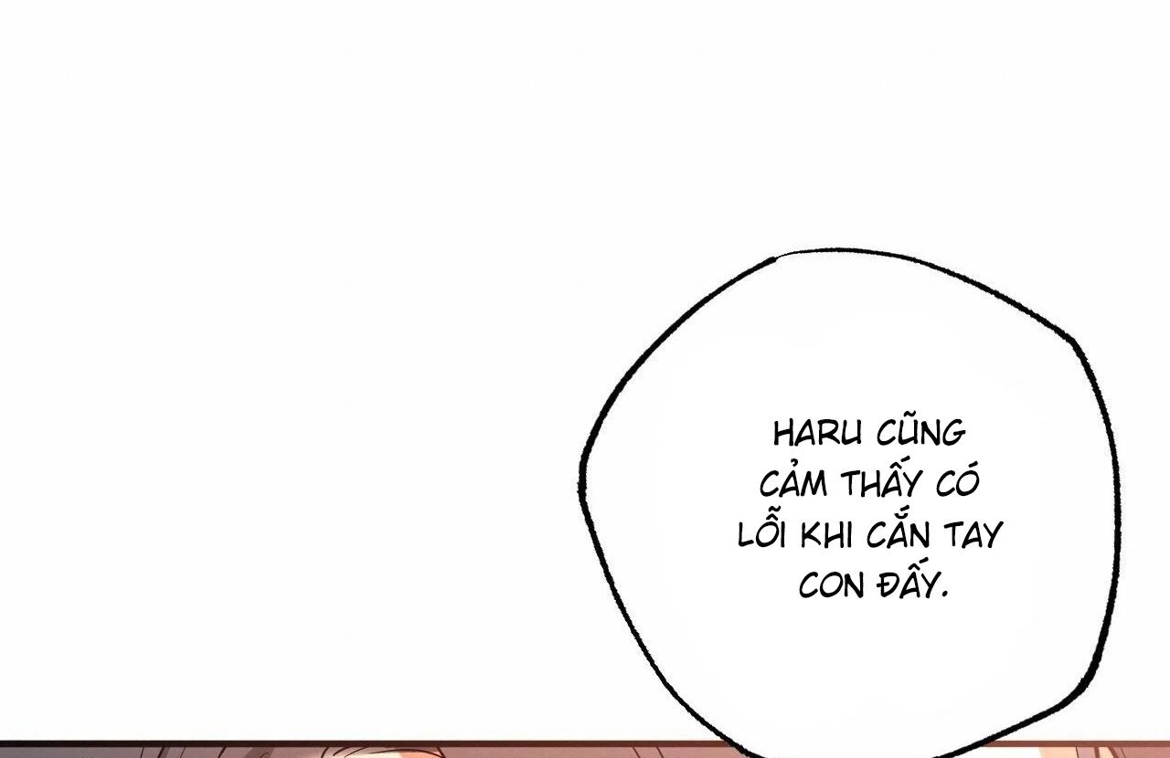 những chú thỏ của hapypy chapter 65 61