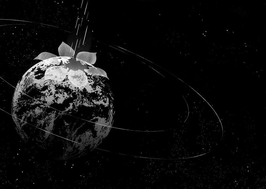 fate/strange fake chapter 7 44