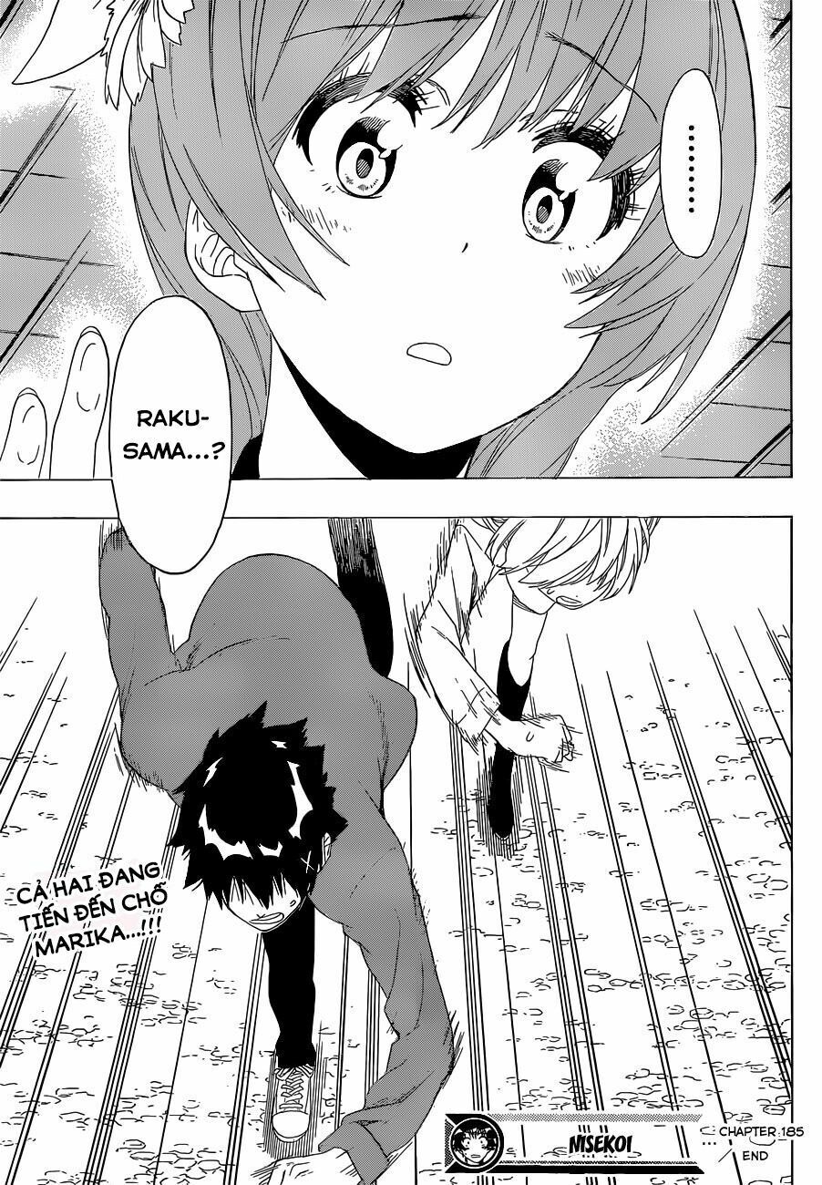 nisekoi - tình yêu giả tạo chapter 185 22