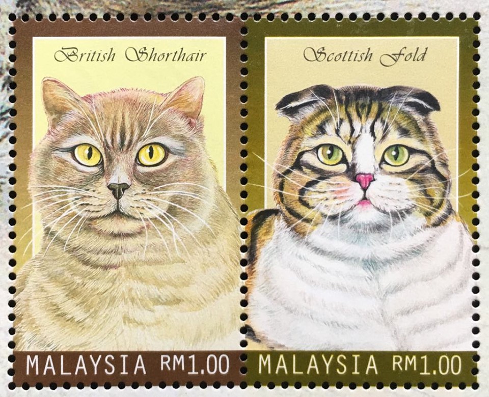 Bộ Tem Sưu Tầm Malaysia 1999 Các Loài Mèo Đáng Yêu - 4 Con Stamps