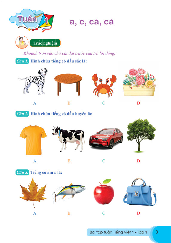 Sách - Bài Tập Tuần Tiếng Việt Lớp 1 - Biên Soạn Theo Chương Trình GDPT Mới - Cánh Diều - ndbooks