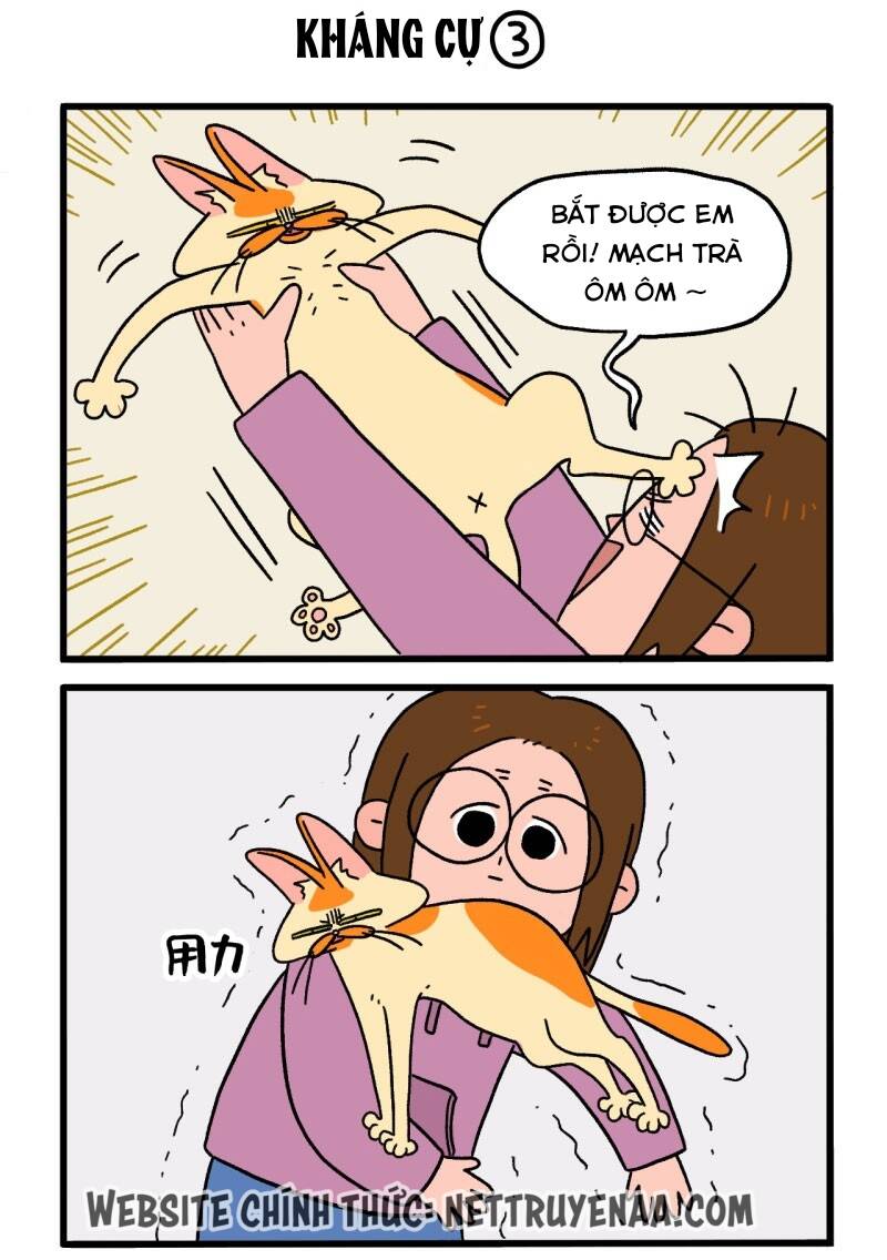 a mãn và mạch trà chapter 4 5