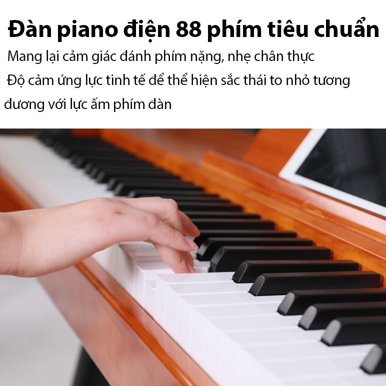 Đàn Piano Điện Tử Gỗ 88 Phím Tiêu Chuẩn Có Kèm Pedal Âm Thanh Chân Thực Có Kết Nối Cổng USB MIDI