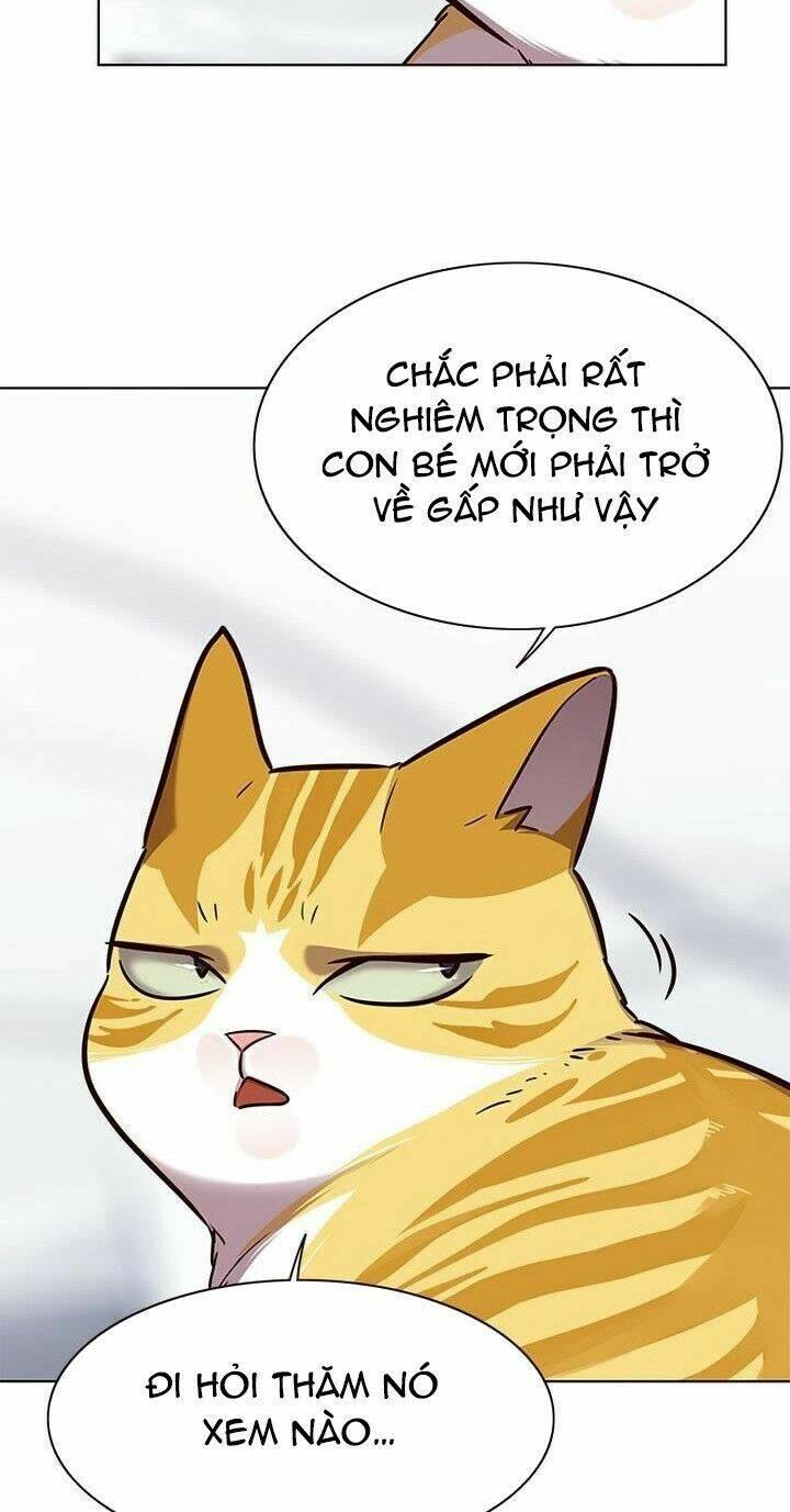 biến thân thành mèo chapter 165 29