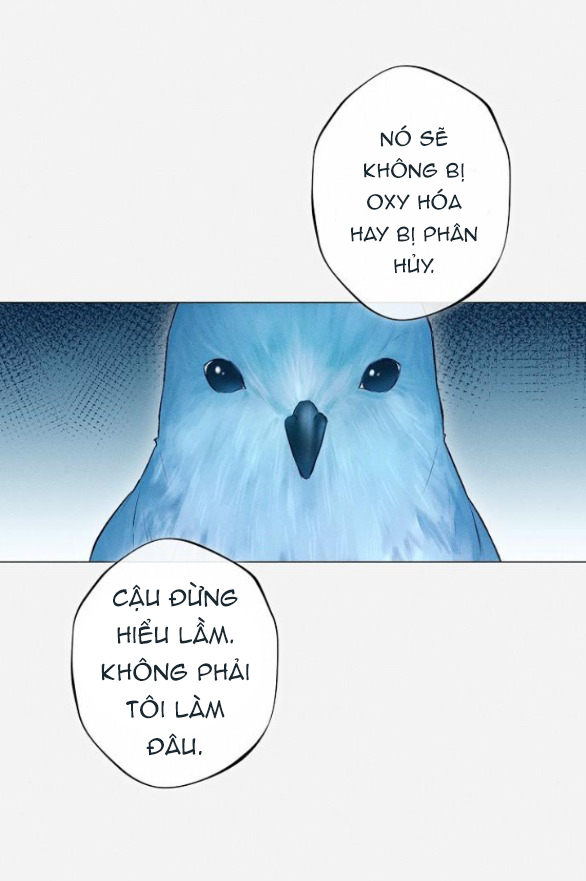 chàng tiên cá mắc kẹt trong hồ của tôi chapter 2.1 28