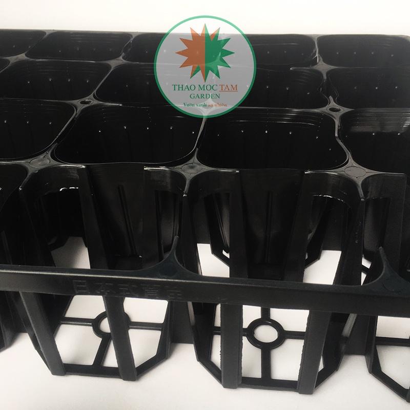Bộ Khay 20 lỗ + 20 Chậu ươm 10.5 chuẩn Nhật - Khay ươm cây con, cây giống, trồng hoa làm vườn