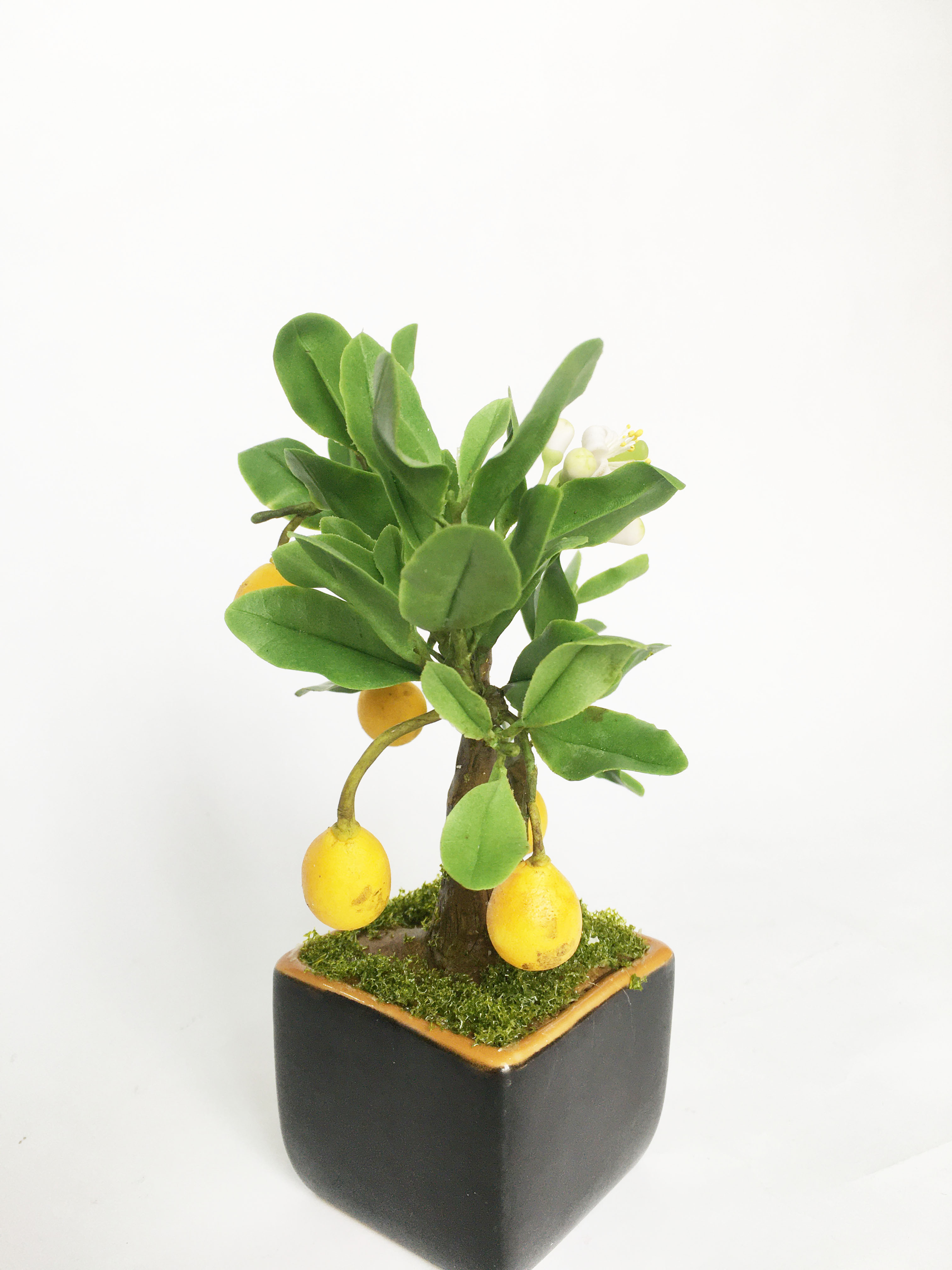 Chậu hoa đất sét mini- Bonsai bưởi - Quà tặng trang trí handmade