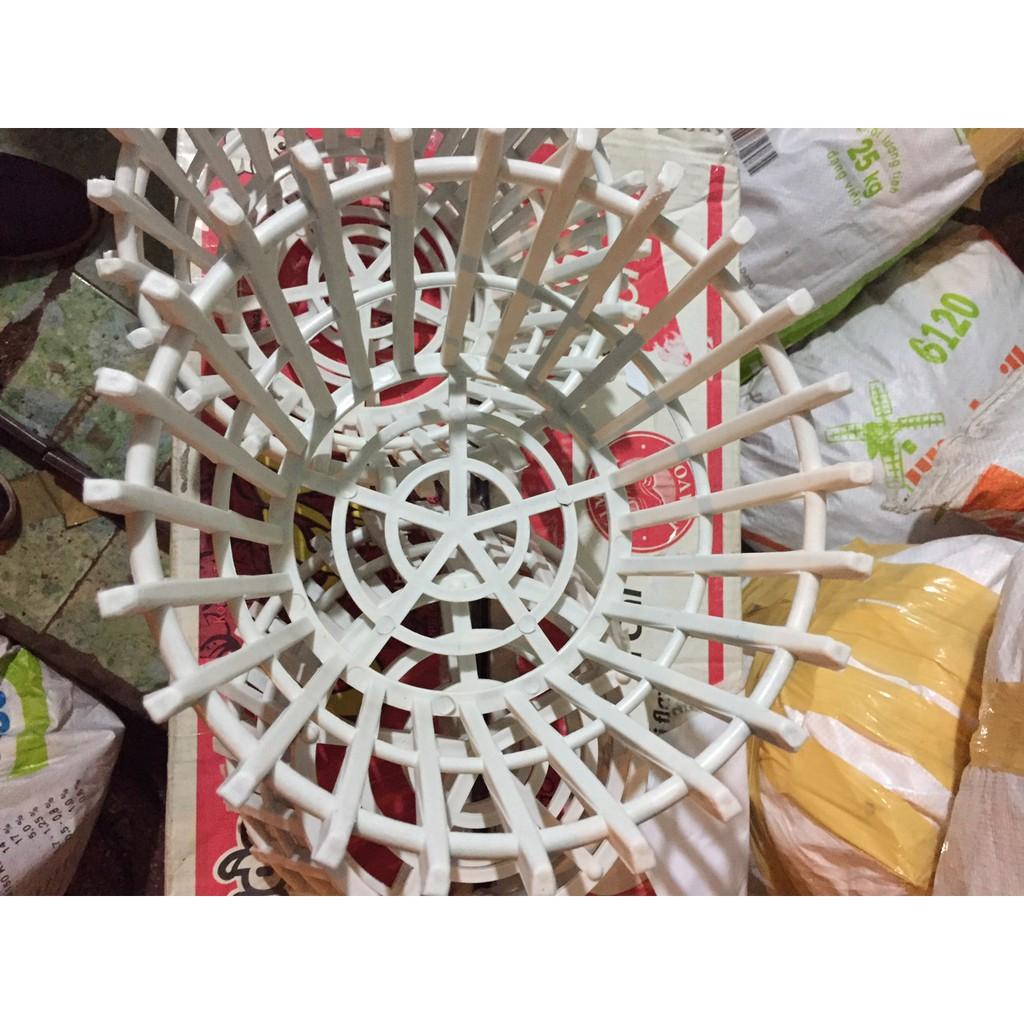 Combo 10 chậu nhựa giả gỗ phi 25 cm màu trắng