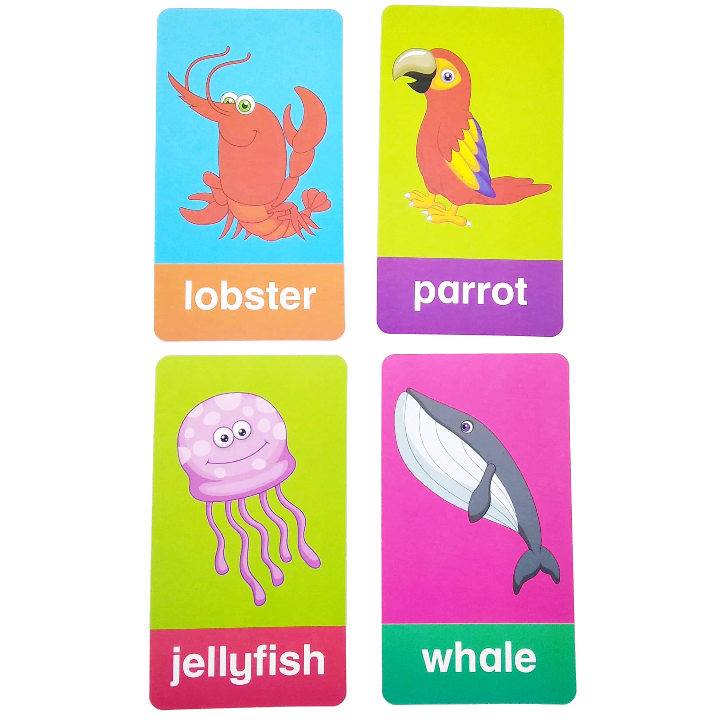 Flash Cards - Animals