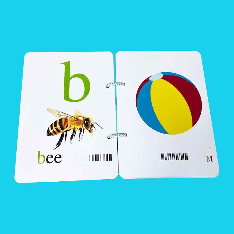 Flashcard tiếng Anh Lớp 1 Khổ A5 có phát âm, hình ảnh sinh động